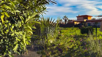 Terraced house in Lajares photo 42
