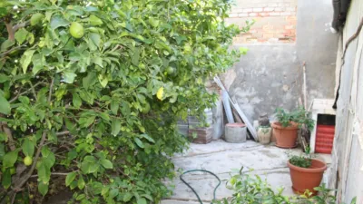 House in Formentera del Segura photo 11