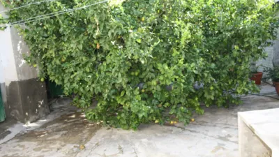House in Formentera del Segura photo 12