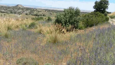 Finca rústica en venta en Villarejo de Salvanés, Villarejo de Salvanés de 79.000 €