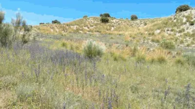 Finca rústica en venta en Villarejo de Salvanés, Villarejo de Salvanés de 79.000 €