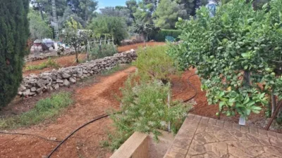 Rustic Finca in Centro photo 12