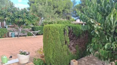 Rustic Finca in Centro photo 13
