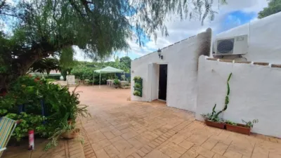 Rustic Finca in Centro photo 17
