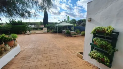 Rustic Finca in Centro photo 18