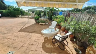 Rustic Finca in Centro photo 8