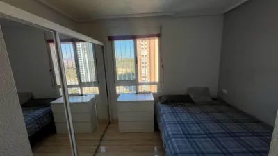Apartment in Platja de Ponent photo 12