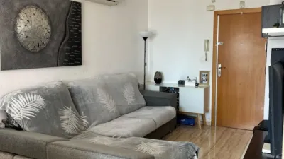 Apartment in Platja de Ponent photo 6