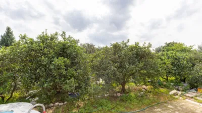 Finca rústica en venta en Albuixarres, Albuixarres (Alzira) de 110.000 €