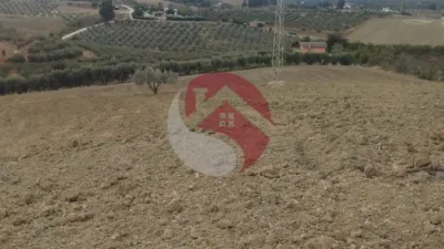 Finca rústica en Coín photo 4