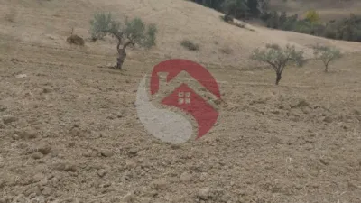 Finca rústica en Coín photo 8
