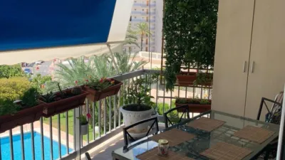 Apartment in Racó de l'Oix photo 20