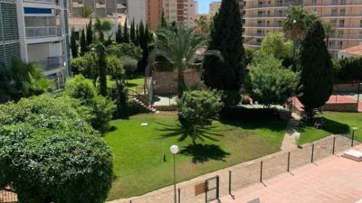 Apartment in Racó de l'Oix photo 25