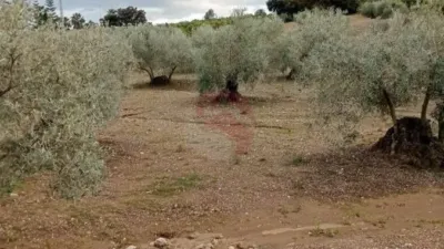 Finca rústica en Coín photo 4