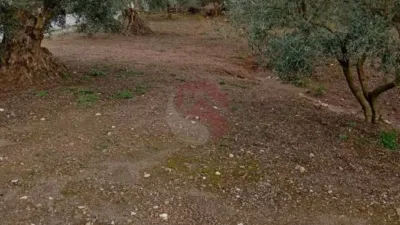 Finca rústica en Coín photo 7