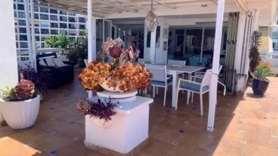 Top-floor apartment in Costa Adeje photo 5