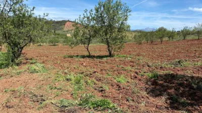 Rustic finca in Almogía photo 3