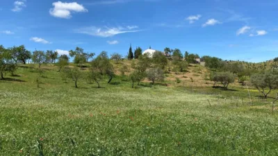Rustic finca in Almogía photo 7