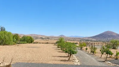 Rustic Finca in Tuineje photo 27