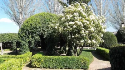 Rustic Finca in Queiles photo 25