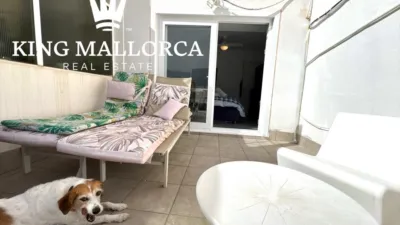Apartment in Can Pastilla photo 15