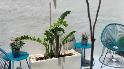 Apartment in Los Gladiolos-Chapatal photo 12