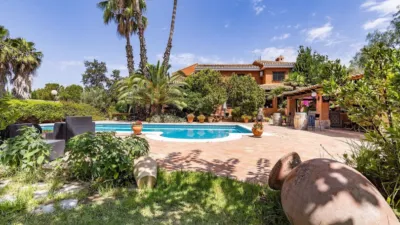 Chalet in Los Dolores photo 3