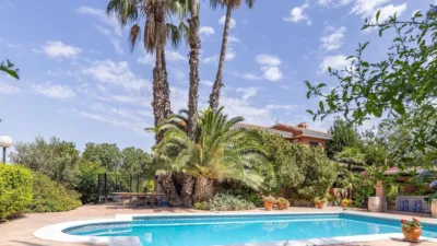 Chalet in Los Dolores photo 5