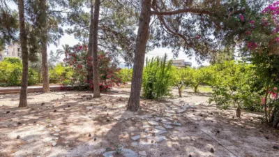Chalet en Los Dolores photo 68