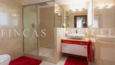 Penthouse in Can Girona-Terramar-Vinyet photo 27