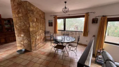 Rustic Finca in Tindaya photo 10