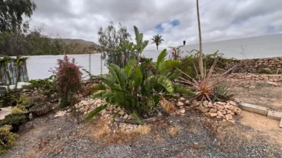 Rustic Finca in Tindaya photo 14