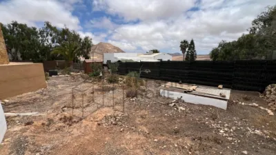 Rustic Finca in Tindaya photo 68