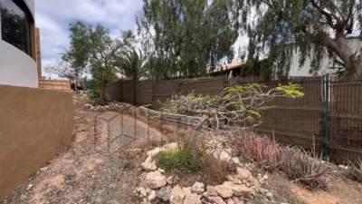 Rustic Finca in Tindaya photo 69