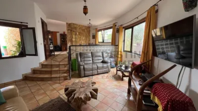 Rustic Finca in Tindaya photo 6