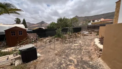 Rustic Finca in Tindaya photo 70