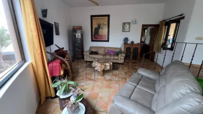 Rustic Finca in Tindaya photo 7