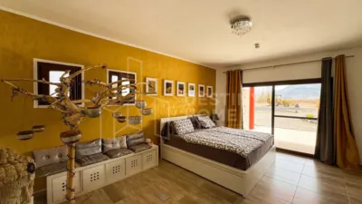 House in Tuineje photo 19