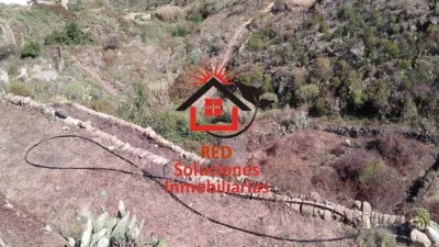 Rustic Finca in La Medida photo 3