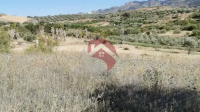 Finca rústica en Capellanía-Retamar photo 16