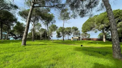 Rustic Finca in Lepe photo 20