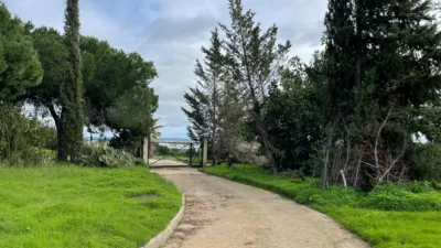 Rustic Finca in Lepe photo 24