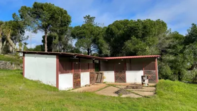 Rustic Finca in Lepe photo 25