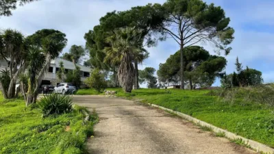 Rustic Finca in Lepe photo 27