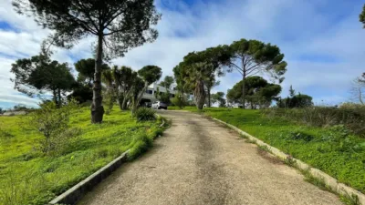 Rustic Finca in Lepe photo 28