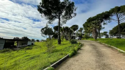 Rustic Finca in Lepe photo 29