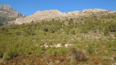 Terreno en venta en Calle Amanellos, Número 649 - Vista 2
