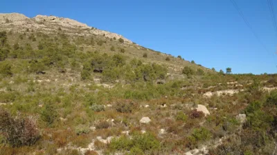 Terreno en venta en Calle Amanellos, Número 649 - Vista 3