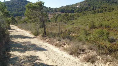 Terreno en venta en Calle Amanellos, Número 649 - Vista 4