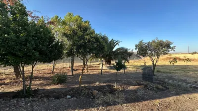 Rustic Finca in Casatejada photo 17